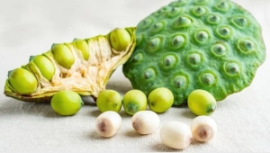  5 lợi ích sức khỏe bất ngờ từ hạt sen