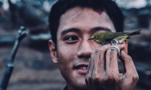 Phim chiến tranh - lịch sử khẳng định sức hút với khán giả