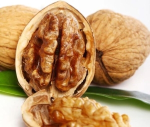 Tác dụng của việc ăn quả óc chó mỗi ngày