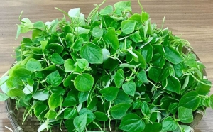 Cách làm đẹp từ rau càng cua