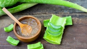 Nha đam – “thần dược” phục hồi và nuôi dưỡng mái tóc khỏe đẹp