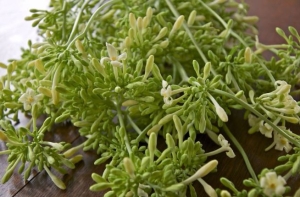 Hoa đu đủ đực ngâm mật ong cực tốt nhưng đại kỵ với 4 người này