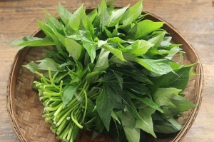 'Rau trường thọ', canxi cao hơn cả sữa, tăng đề kháng tự nhiên