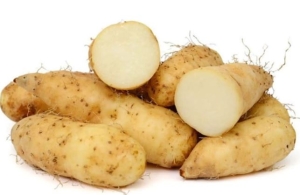 Loại củ rẻ tiền được ví là 'nhân sâm dưới lòng đất'