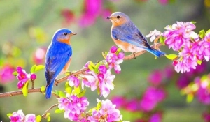 Lập xuân năm 2026 vào thứ mấy, ngày nào?