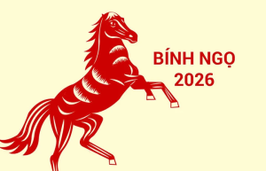 Năm 2026 Bính Ngọ giàu năng lượng và mang nhiều dấu ấn đặc biệt