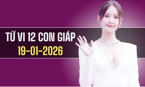 Ngày 19/1/2026: Tử vi 12 con giáp Tuổi Tỵ gặp tiểu nhân, Sử cát khí