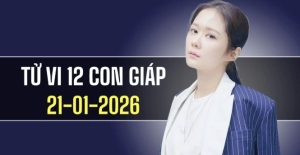 Ngày 21/1/2026: Tử vi 12 con giáp Dần thăng tiến, Ngọ áp lực