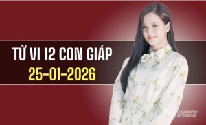 Ngày 25/1/2026: Tử vi 12 con giáp Tý tham vọng, Tỵ thận trọng