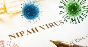 Dịch bệnh do virus Nipah Bộ Y tế yêu cầu tăng cường phòng chống ngay tại cửa khẩu