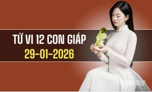 Ngày 29/1/2026: Tử vi 12 con giáp Dần gặp quý nhân, Thìn đề phòng tiểu nhân