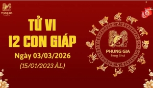 Ngày 03/03/2026 tử vi 12 con giáp, Sửu, Thân, Tý, Thìn may mắn gõ cửa