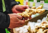 Lợi ích của gừng đối với nam giới về sức khỏe tình dục