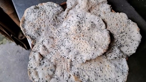 Thực đơn hàng ngày: Bánh tráng nước dừa