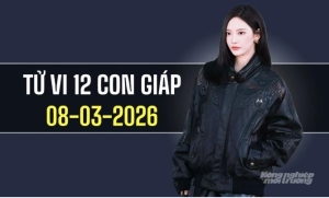 Ngày 8/3/2026: tử vi 12 con giáp tuổi Thìn thăng tiến, Mão gặp khó khăn