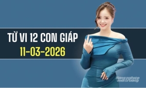 Ngày 11/3/2026: tử vi 12 con giáp tuổi Hợi 'đại cát đại lợi'