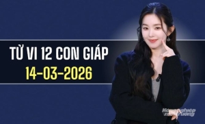 Ngày 14/3/2026: tử vi 12 con giáp tuổi Mão thuận lợi, Ngọ thăng tiến