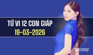 Ngày 19/3/2026: tử vi 12 con giáp tuổi Tý khởi sắc, Mão vượng phát