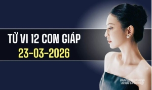 Ngày 23/3/2026: tử vi 12 con giáp tuổi Hợi ổn định, Dậu bứt phá