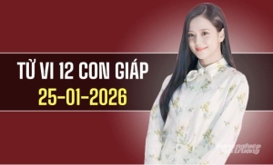 Ngày 25/1/2026: tử vi 12 con giáp Tý tham vọng, Tỵ thận trọng