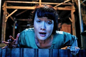 Nghệ sĩ Vân Dung - 