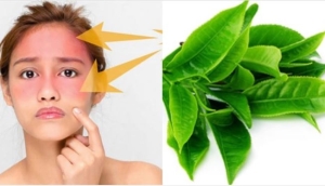 Lợi ích nổi bật của trà xanh cùng cách sử dụng đúng để hỗ trợ làn da chống lão hóa