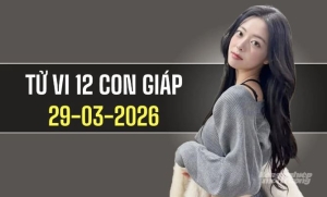 Ngày 29/3/2026: tử vi 12 con giáp tuổi Thìn thuận lợi, Tỵ đào hoa