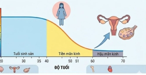 Chị em cần lắng nghe 'bản đồ' nội tiết 