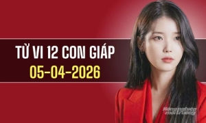 Ngày 5/4/2026: tử vi 12 con giáp tuổi Mùi hanh thông, Dậu thuận lợi