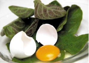 Cách giải độc cơ thể bằng lá mơ lông 