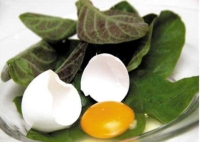 Cách giải độc cơ thể bằng lá mơ lông 