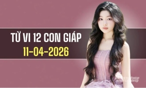 Ngày 11/4/2026: tử vi 12 con giáp tỵ ổn đinh, Hợi gặp thử thách