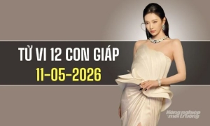 Ngày 11/5/2026: Tử vi 12 con giáp Hợi vượng phát, Tuất thuận lợi