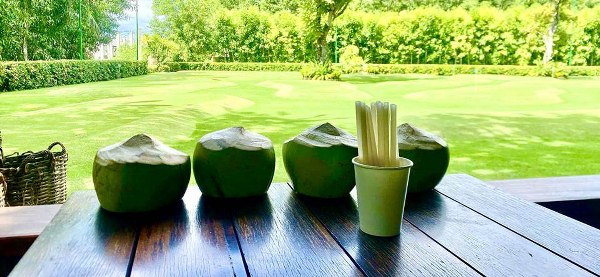 Trải nghiệm thu hoạch dừa tại The Anam Cam Ranh
