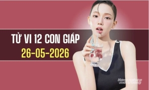 Ngày 26/5/2026: Tử vi 12 con giáp Tuổi Tý, Sửu, Mão tiến triển