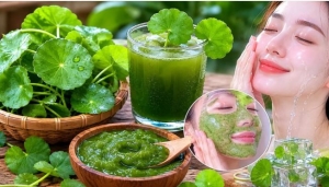 4 cách dùng cần chú ý khi dùng lá rau má hỗ trợ làm trắng da, mờ sạm nám