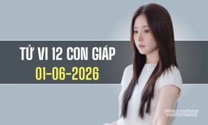 Ngày 1/6/2026: Tử vi 12 con giáp Tuổi Thân - Hợi đón may mắn