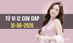 Tử vi 12 con giáp hôm nay 10/6/2026: Tuổi Tý gặp nhiều may mắn, tuổi Thìn đón cơ hội bứt phá
