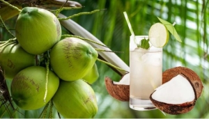 Uống nước dừa có đẹp da không