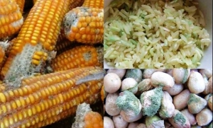 4 thực phẩm gây hại cho gan nhiều người ăn mỗi ngày