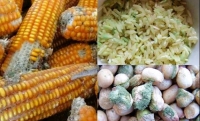 4 thực phẩm gây hại cho gan nhiều người ăn mỗi ngày