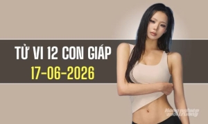 Tử vi 12 con giáp hôm nay 17/6/2026: Tuất tài lộc khởi sắc, Tý nhiều thuận lợi