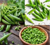 7 thực phẩm giàu chất xơ giúp no lâu, hỗ trợ giảm cân hiệu quả