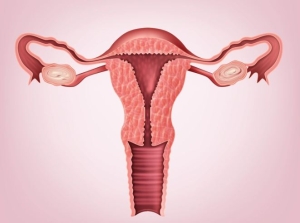 5 điều ít người biết về buồng trứng
