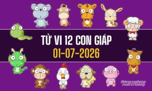 Tử vi hôm nay 1/7/2026 của 12 con giáp: Tuất, Hợi đón vận may
