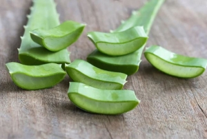 Sữa rửa mặt từ lô hội và dầu tràm trà giúp làm sạch, chăm sóc da tại nhà