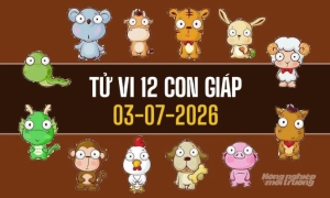 Tử vi hôm nay 3/7/2026 của 12 con giáp: Tý thuận lợi, Mão gặp quý nhân