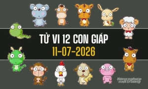 Tử vi 12 con giáp hôm nay 11/7/2026: Thìn tài lộc khởi sắc, Tý nhiều cơ hội phát triển