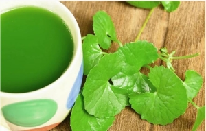 4 cách làm đẹp từ rau má giúp làm dịu da