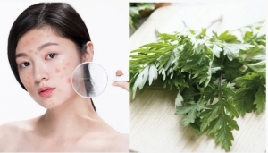 3 cách chăm sóc da từ ngải cứu đơn giản tại nhà
